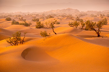 marrakesh e deserto de zagora